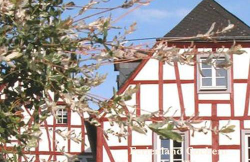 Ferienwohnungen Ferienland Cochem - Foto 5