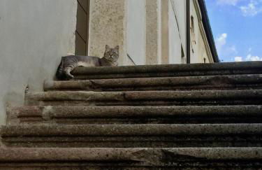 Agriturismo Borgo Buzzaccarini Rocca di Castello - Foto 64