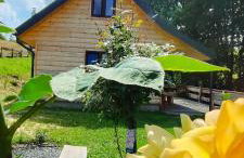 Chata DUDZIAKÓWKA - Foto 30