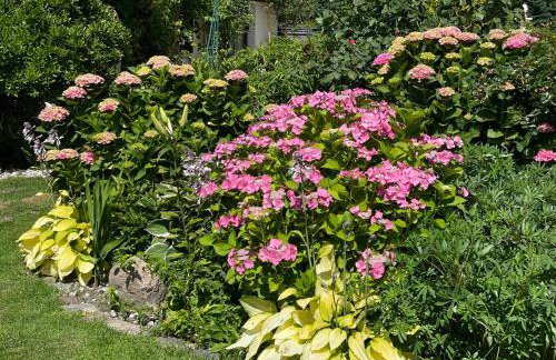 Domek wakacyjny - Foto 23