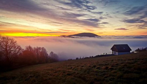 Orle Gniazdo - Foto 3, Garden