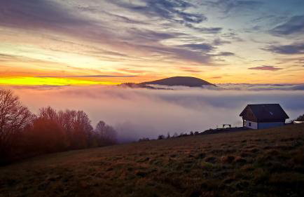 Orle Gniazdo - Foto 3