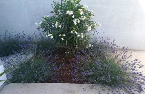 VILLA BLAŽEN - Foto 29