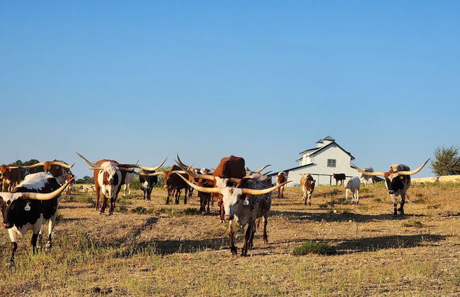 Twin Canyons Ranch Luxury Ranch Villas - Foto 21