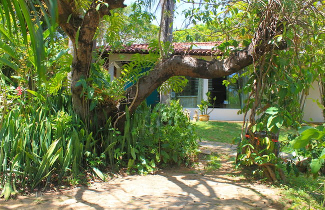 Hotel Tia Dora - Photo 62