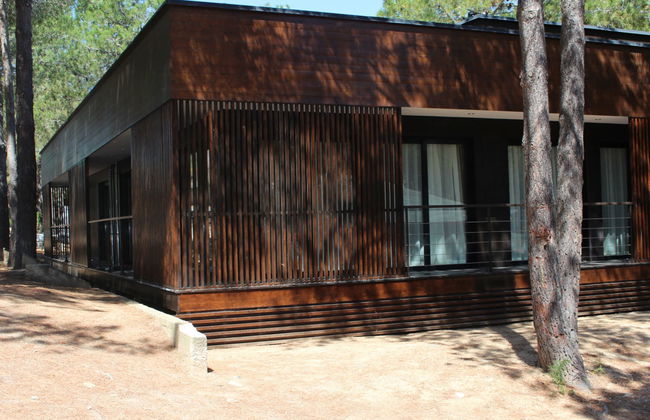 Villa en bois - Foto 1