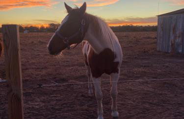 Serene Stay in North Carolina!! - Foto 39