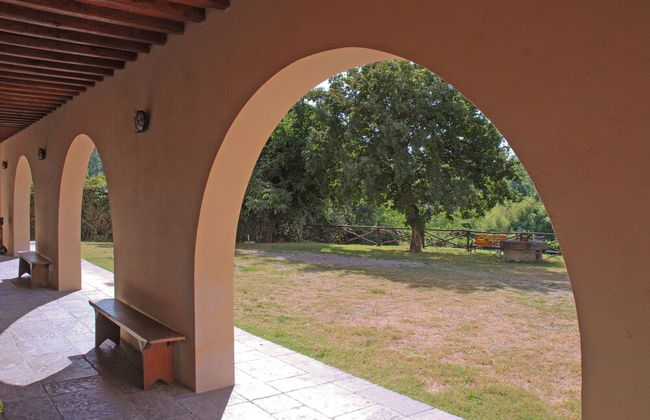 azienda agricola lo zolfino - Foto 59