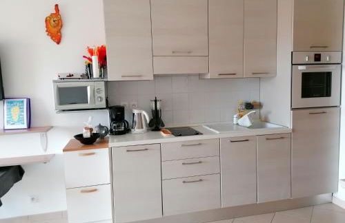 Appartement Résidence Les Eucalyptus - Foto 2