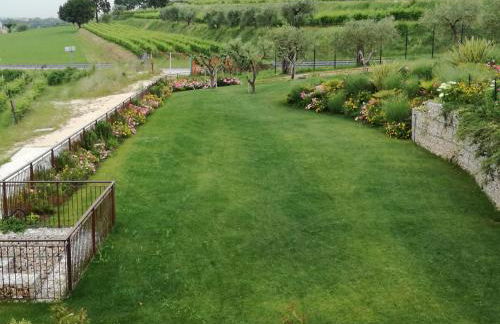 Agriturismo La Rondinella - Photo 3