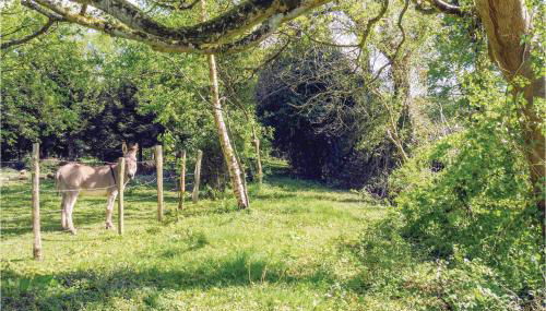 1 Bedroom Cozy Apartment In Vasteville - Foto 4