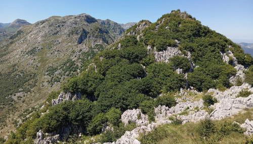 Gibaja Apartment - Foto 3