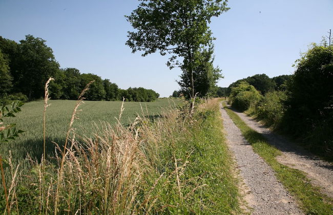 Countryside Chalet in Bomal sur Ourthe With Sauna, Balcony - Photo 35