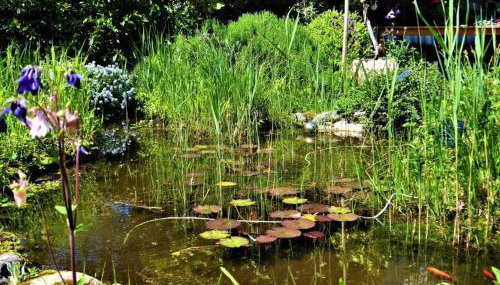 Ferienwohnung Fischer - Foto 5