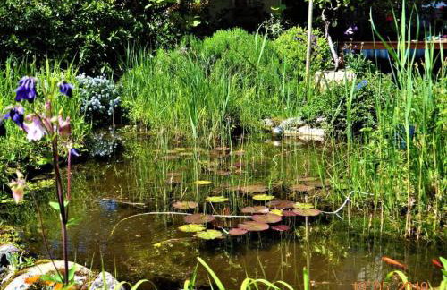 Ferienwohnung Fischer - Foto 5