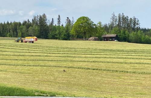 Schwaigerhof - Foto 21