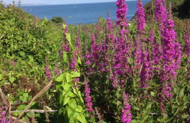 Linton Luxury Holiday Home - Foto 36