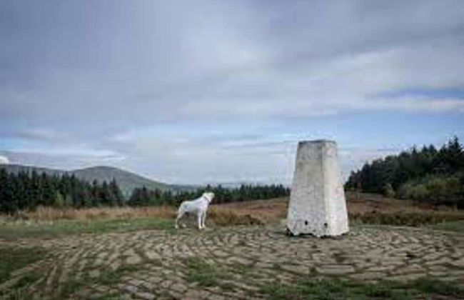 The Shippon -hot Tub ext chg - Superking-log Fire - Foto 26