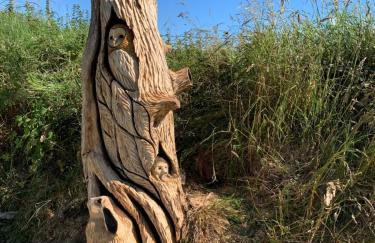 Byre Cottages & Log Cabin - Foto 28