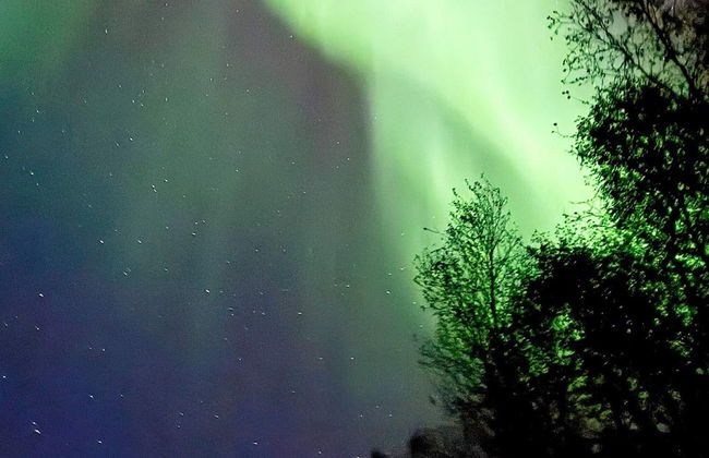 4 Star Holiday Home in Storsteinnes - Foto 40