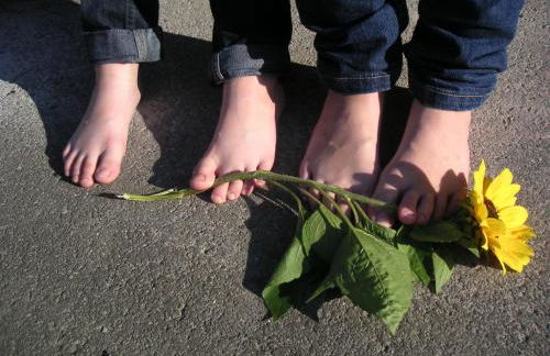 Natur-Aktiv-Hof Thiem - Foto 42