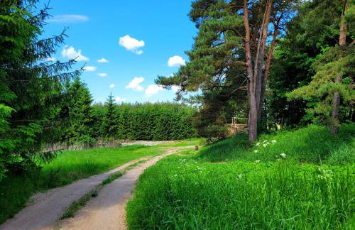 Srokowski Dwór 1 - Leśny Zakątek - Prywatna Sauna! - Foto 10