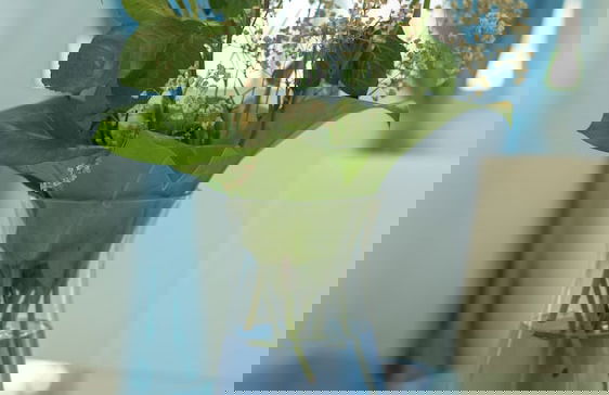 V Royal Luxury Villas - Foto 78