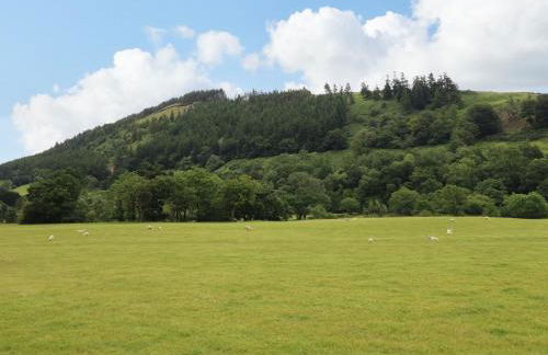 Bwthyn Camlan - Photo 38