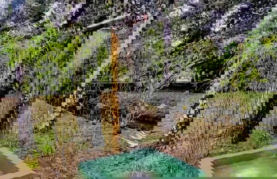 CASA BAMBU ANGRA - Photo 32