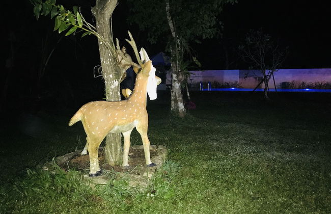 Villa Shanthi - Photo 20