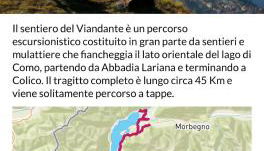 Dina’s Flower House - Foto 4