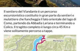 Dina’s Flower House - Foto 4