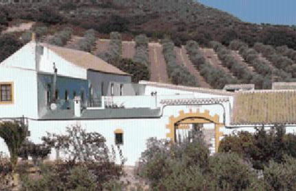 Casas Rurales Cortijo la Cañada - Photo 44