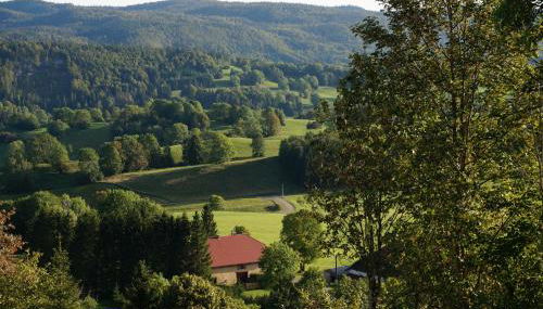 Le Bois gentil - Foto 5