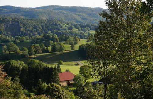 Le Bois gentil - Foto 5