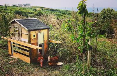 Dernier Ecolodge avant NewYork - Foto 34