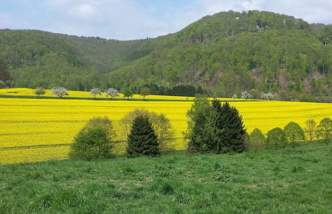 Spacious Holiday Home in Löwensen Lower Saxony near Forest - Foto 36