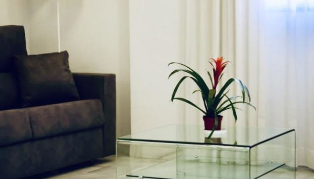 Domus Apartamentos 4 - Photo 4