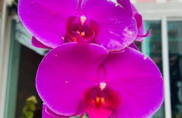 Cabo Frio Familiar Toca de Gente Feliz - Foto 57