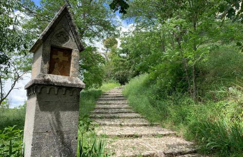 Cocon au cœur du village de Forcalquier - Foto 22