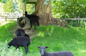 The Croft @ Warrens Farm - Foto 37