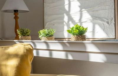 La Pita Añil - Pozo de los Frailes - Foto 13