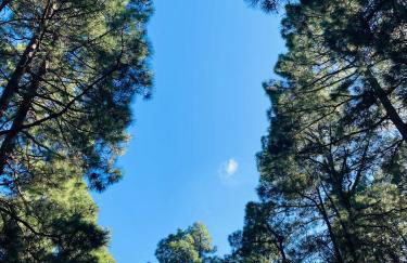 Apartamento Atlantico - Foto 74