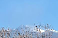 Charming Beachfront Retreat - Foto 10