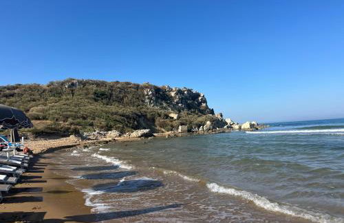 Alba Chiara Licata - Foto 2