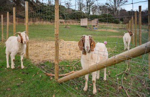 Bay Cottage - Foto 26