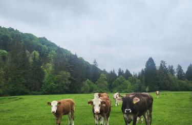 Ferienwohnung in Niederhasling - Foto 26