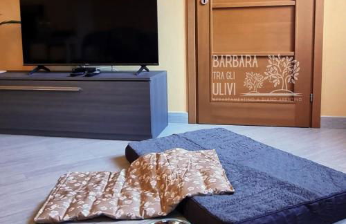 Barbara tra gli Ulivi - Foto 53