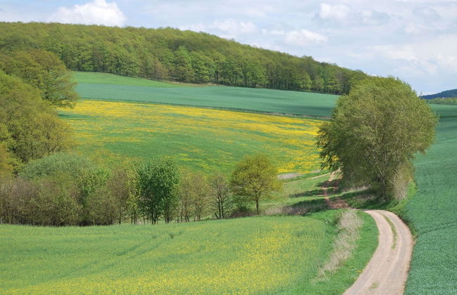 Watermill Stay With Garden - Foto 27