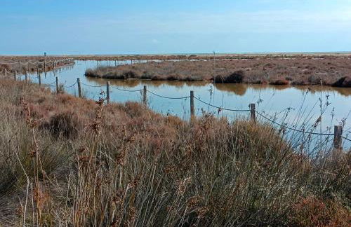 Rincón del Delta, apartamento en el Delta del Ebro, Playa Trabucador Amposta, Tarragona - Foto 22